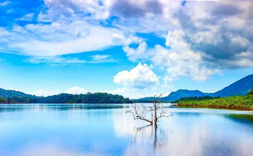 老子 復歸正道,萬事方清,事事方順