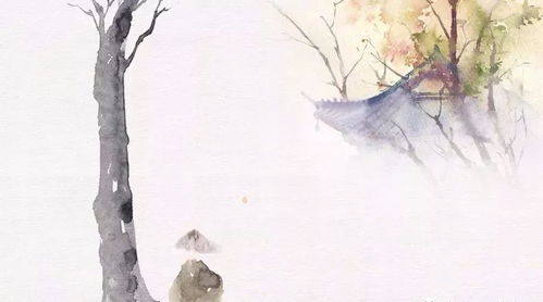 佛說 四無量心,歡喜自在 眾生