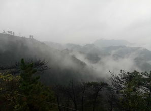唐山游之9 雨中游景忠山 順治帝可是從這請(qǐng)的高僧到皇宮講佛法,出家
